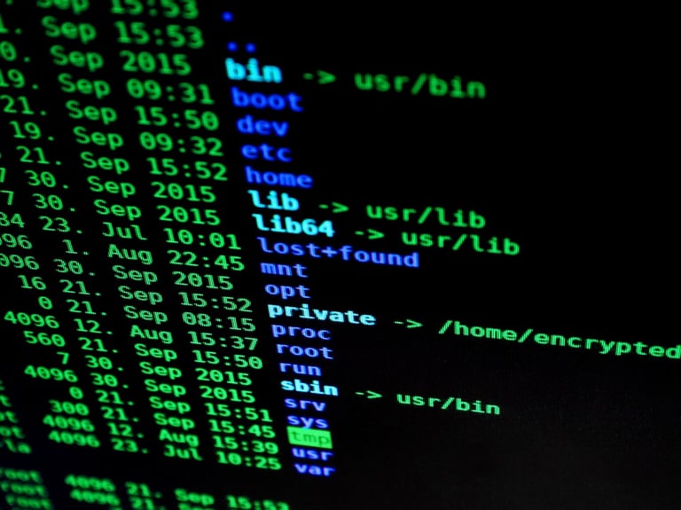 Terminal screen listing system directories and file permissions
