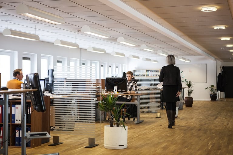 Open-plan office with staff working at their desks